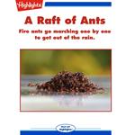 Raft of Ants, A