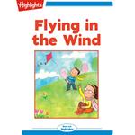 Flying in the Wind