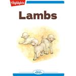 Lambs