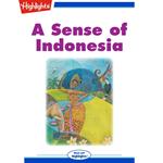 Sense of Indonesia, A