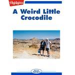 Weird Little Crocodile, A