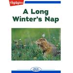 Long Winter's Nap, A