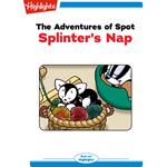 Splinter's Nap