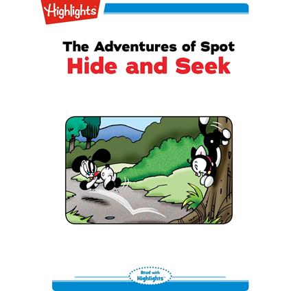 Hide and Seek