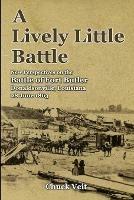 A Lively Little Battle: New Perspectives on the Battle of Fort Butler, Donaldsonville, Louisiana, 28 June 1863