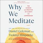 Why We Meditate