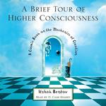 A Brief Tour of Higher Consciousness