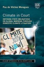 Climate in Court: Defining State Obligations on Global Warming Through Domestic Climate Litigation
