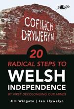 20 Radical Steps to Welsh Independence: ...by first decolonising our minds