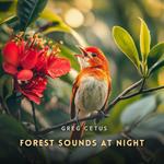 Forest Sounds at Night