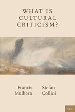 What Is Cultural Criticism?