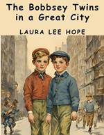 The Bobbsey Twins in a Great City