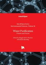 Water Purification: Present and Future