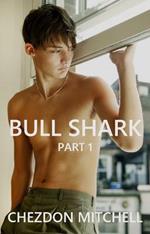 Bull Shark Part 1: A Gay Romance