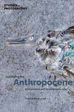 Surveying the Anthropocene:: Environment and Photography Now