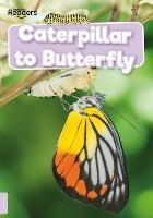 Caterpillar to Butterfly