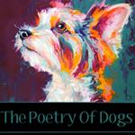 Poetry of Dogs, The