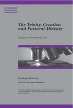 The Trinity, Creation and Pastoral Ministry: Imaging the Perichoretic God