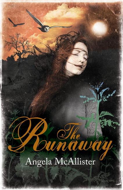 The Runaway - Angela McAllister - ebook