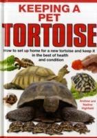 Keeping a Pet Tortoise