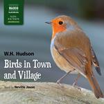 Birds in Town and Village