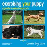 Exercising your puppy: a gentle & natural approach