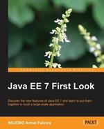 Java EE 7 First Look