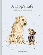 A Dog’s Life: A celebration of our best friend