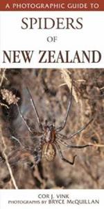 Photographic Guide To Spiders Of New Zealand