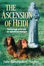 The Ascension of Heidi: A Longhaired Dachshund