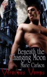 Beneath the Changing Moon