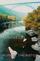 Place to Pay Attention, A