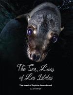 The Sea Lions of Los Islotes: The Jewel of Espiritu Santo Island
