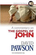 A Commentary on the Gospel of John