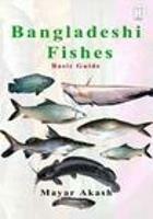 Bangladeshi Fishes Basic Guide