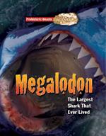 Megalodon: The Largest Shark That Ever Lived
