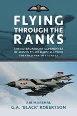 Flying through the Ranks: The Extraordinary Experiences of Airmen to Air Marshals from the Cold War to the Gulf