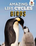 Birds - Amazing Life Cycles