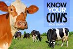 Know Your Cows