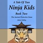 Tale Of Two Ninja Kids, A - Book 2 - The Ancient Protective Stone