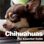 Chichuahuas: The Essential Guide