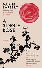 A Single Rose