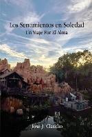 Los Sentimientos en Soledad: Un Viaje Por El Alma