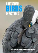 Australian Birds in Pictures: Compact edition