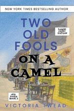 Two Old Fools on a Camel - LARGE PRINT: From Spain to Bahrain and back again