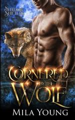 Cornered by the Wolf