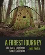 A Forest Journey