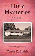 Little Mysteries: A Debut Novel