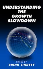 Understanding the Growth Slowdown