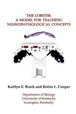 The Lobster: A Model for Teaching Neurophysiological Concepts